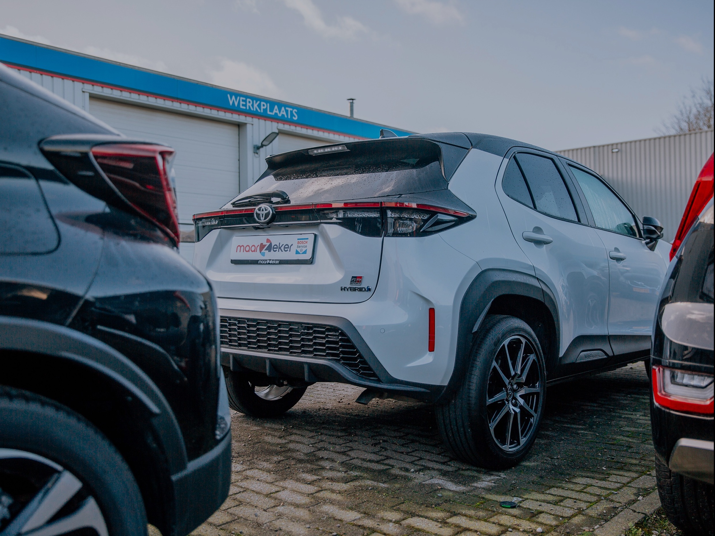 Common Image dinesten_images_1762947002.jpg Inkoop/taxatie | maarZeker